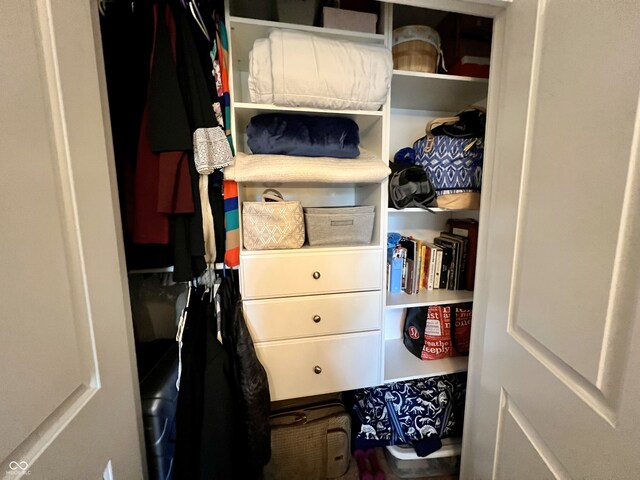view of closet