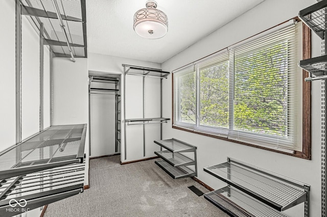 spacious closet featuring carpet flooring