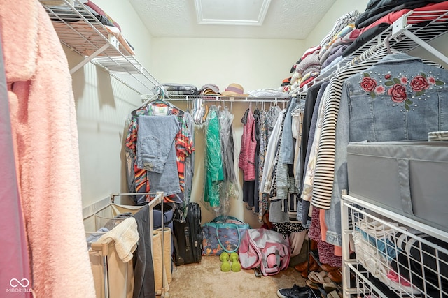 spacious closet featuring carpet floors