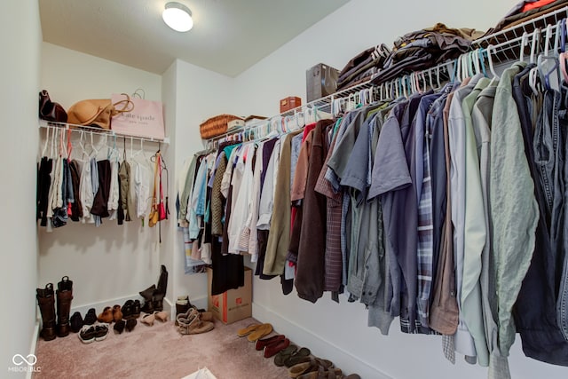 spacious closet featuring carpet