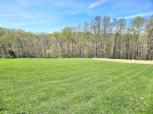 1647 State Ferry Rd, Solsberry, IN 47459 - view of yard featuring a forest view