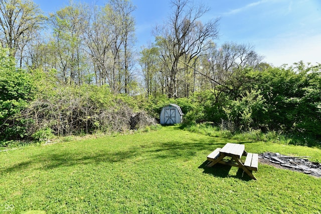 view of yard featuring a storage unit and an outbuilding