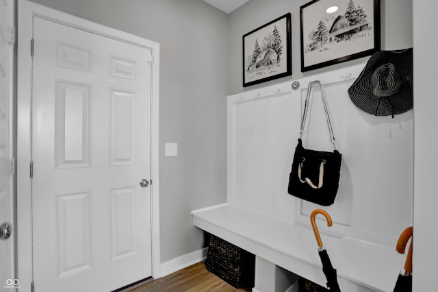 mudroom featuring baseboards and wood finished floors