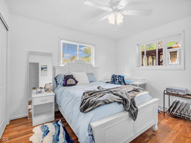 bedroom featuring ceiling fan, multiple windows, wood finished floors, and a closet