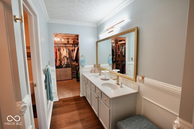 full bath with a walk in closet, wainscoting, and a sink