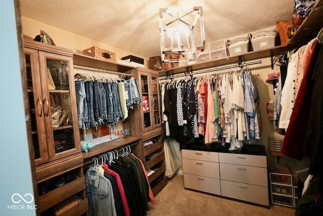 spacious closet featuring carpet flooring