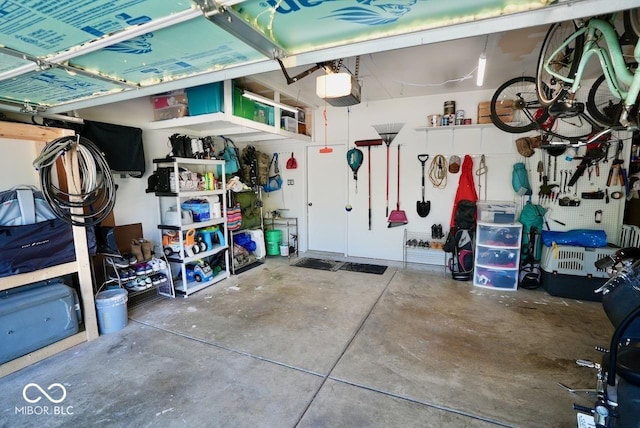 garage with a garage door opener