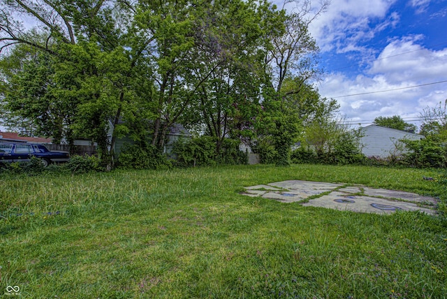 view of yard featuring a patio area