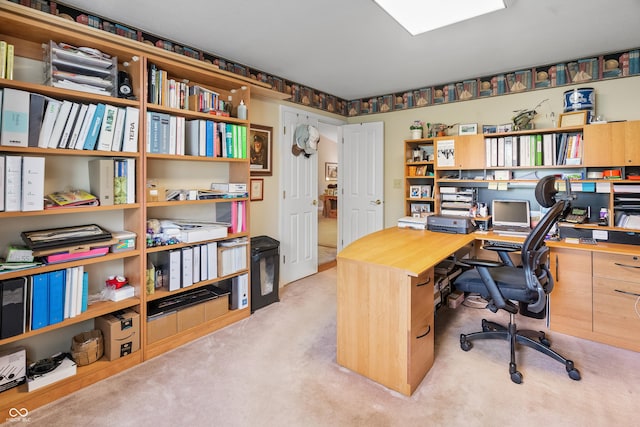 office area featuring carpet
