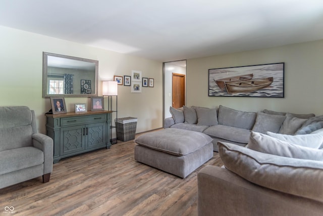 living area featuring wood finished floors