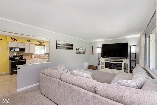 living area featuring baseboards and ornamental molding