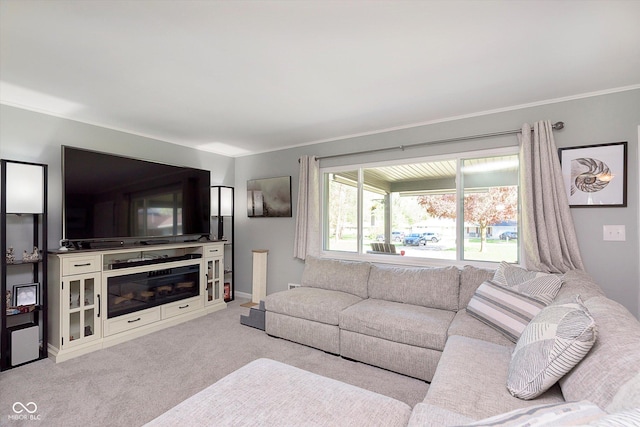 living room with crown molding, carpet, and baseboards
