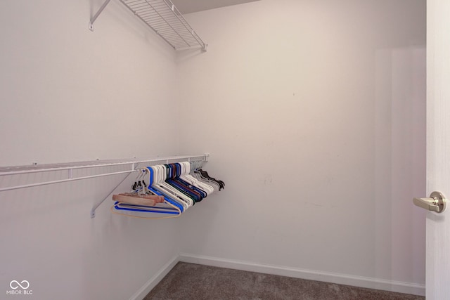 walk in closet with carpet