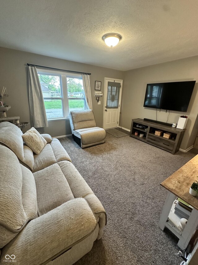living room with baseboards, carpet flooring, and a textured ceiling