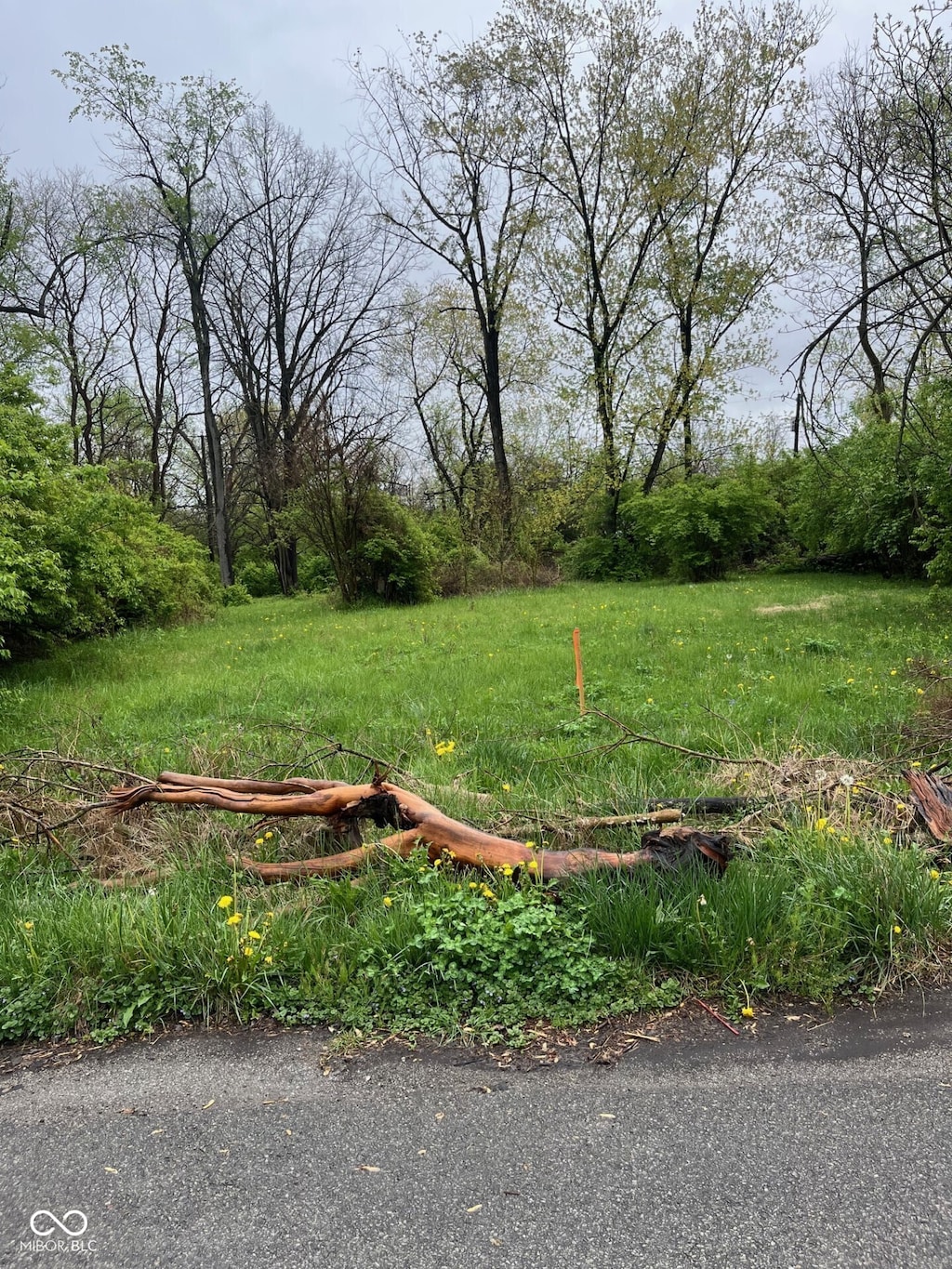 0 N Irwin Ave, Indianapolis, IN 46226