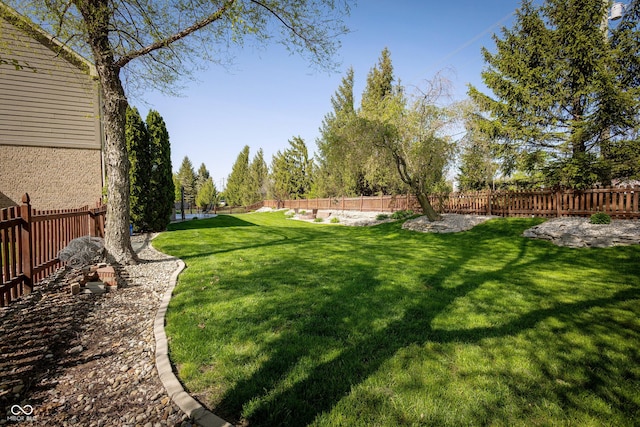 view of yard with a fenced backyard