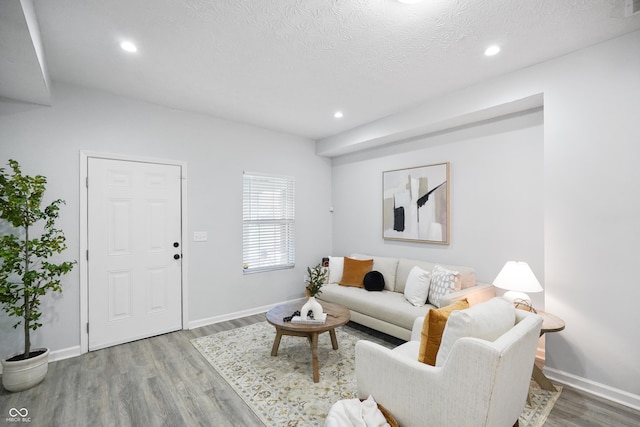 1417 E Michigan St, Indianapolis, IN 46201 - living area featuring recessed lighting, baseboards, wood finished floors, and a textured ceiling