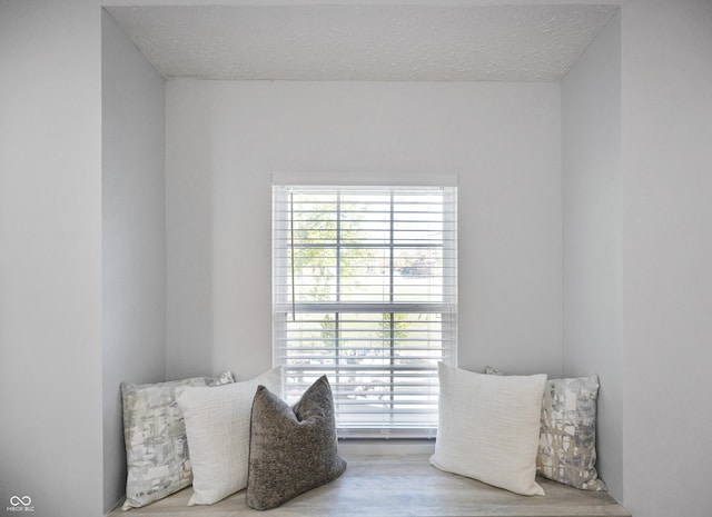 1417 E Michigan St, Indianapolis, IN 46201 - sitting room with a textured ceiling and wood finished floors