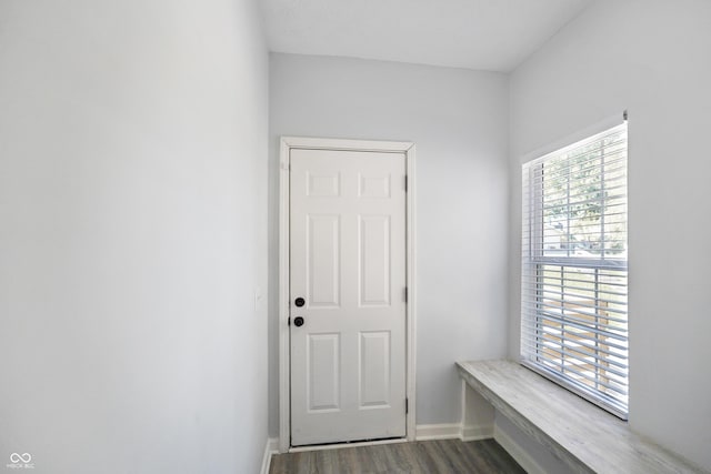 1417 E Michigan St, Indianapolis, IN 46201 - doorway to outside with baseboards and wood finished floors
