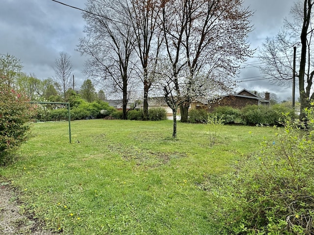 2405 Sycamore St, Columbus, IN 47201 - view of grassy yard