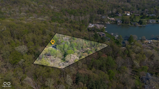 bird's eye view featuring a water view and a forest view
