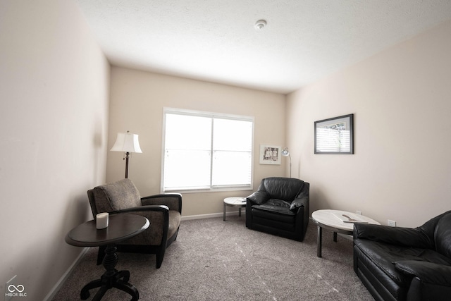 sitting room featuring baseboards and carpet flooring