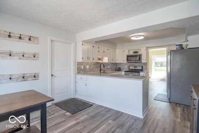 kitchen featuring a sink, a textured ceiling, stainless steel appliances, and light wood-style flooring