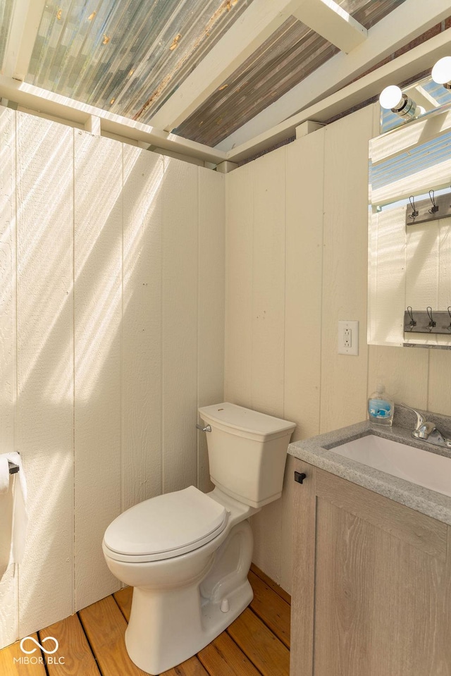 bathroom featuring vanity, wood finished floors, and toilet