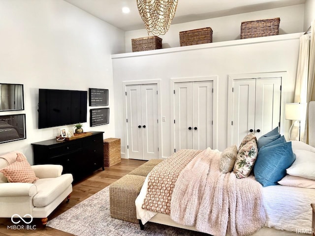 bedroom featuring multiple closets and wood finished floors