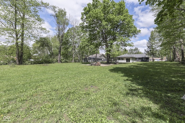 view of green lawn