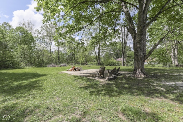 view of grassy yard with a patio area