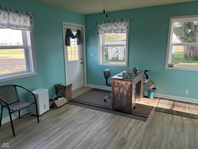 office space featuring baseboards, wood finished floors, and a wealth of natural light