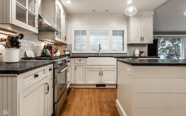 440 E 82nd St, Indianapolis, IN 46240 - kitchen featuring high end stainless steel range, a sink, healthy amount of natural light, light wood-type flooring, and recessed lighting