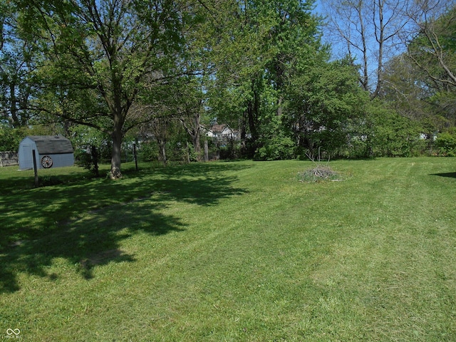 view of yard with a storage unit and an outdoor structure