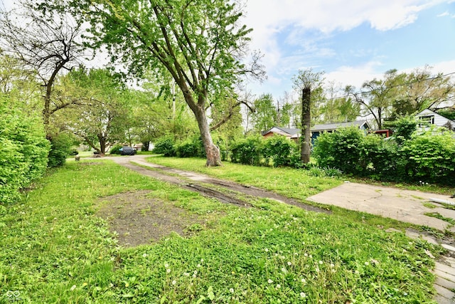 3109 Forest Manor Ave, Indianapolis, IN 46218 - view of yard