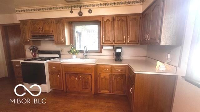 kitchen with brown cabinets, a sink, light countertops, under cabinet range hood, and white range with gas cooktop