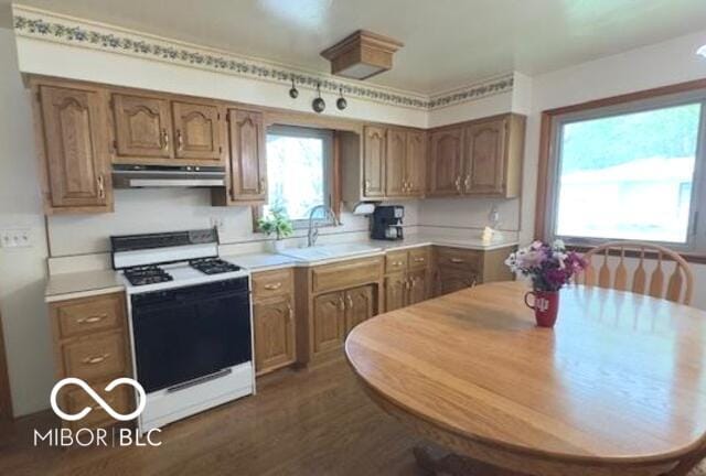 kitchen featuring dark wood-style flooring, white range with gas stovetop, light countertops, under cabinet range hood, and a sink