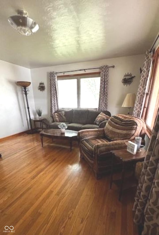 living area featuring wood finished floors