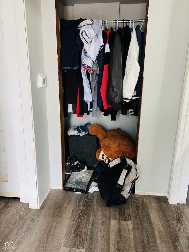 view of closet