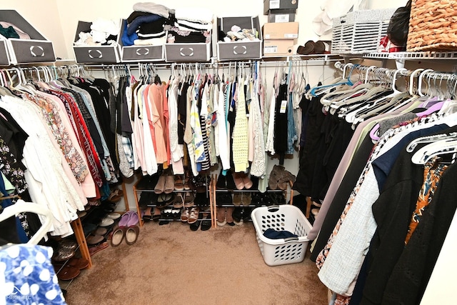 walk in closet featuring carpet