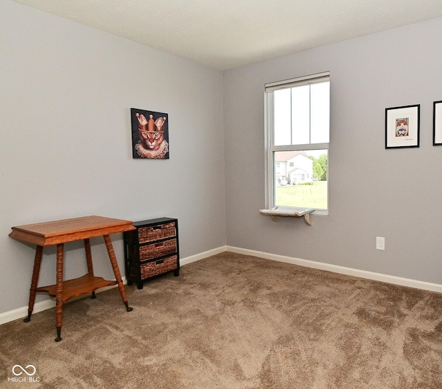 interior space with baseboards and carpet