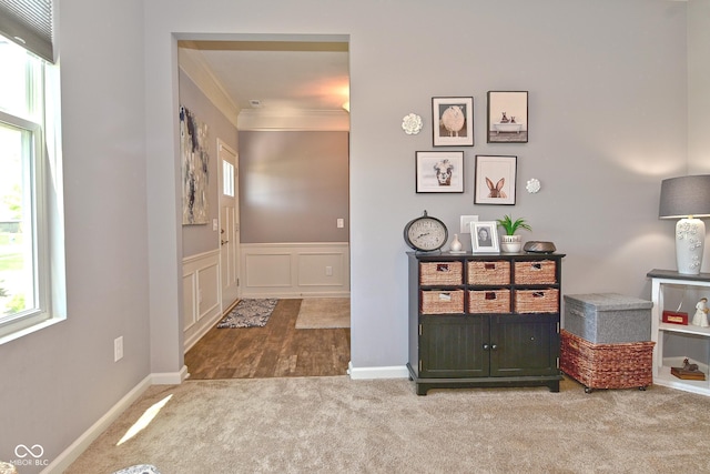 hallway featuring carpet floors, wainscoting, crown molding, and a decorative wall