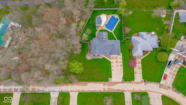 bird's eye view