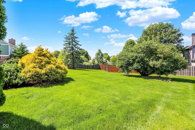 10746 Gateway Dr, Fishers, IN 46037 - view of yard