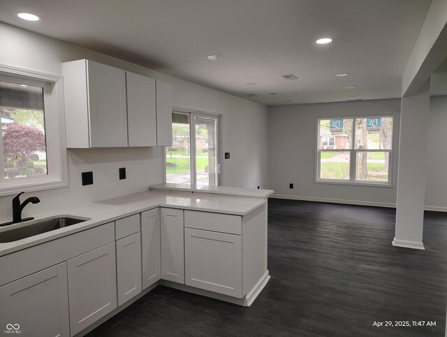 804 S Albany St, Selma, IN 47383 - kitchen with a sink, a peninsula, dark wood-style flooring, and a wealth of natural light