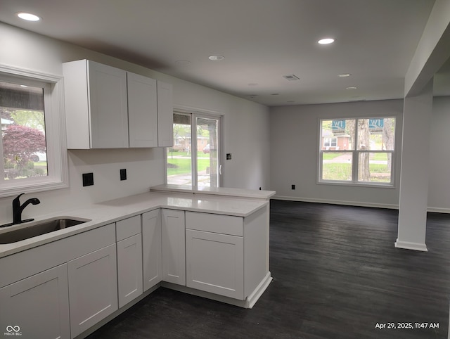 804 S Albany St, Selma, IN 47383 - kitchen with a sink, a peninsula, dark wood-style flooring, and a healthy amount of sunlight