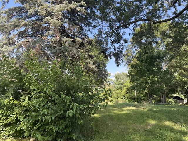 3325 S Lyons Ave, Indianapolis, IN 46221 - photo 4