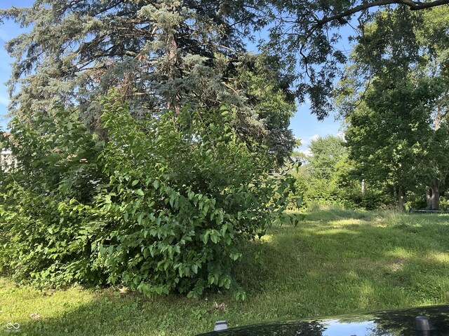 3325 S Lyons Ave, Indianapolis, IN 46221 - photo 7