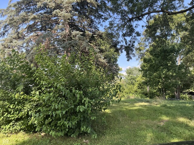 3325 S Lyons Ave, Indianapolis, IN 46221 - photo 5