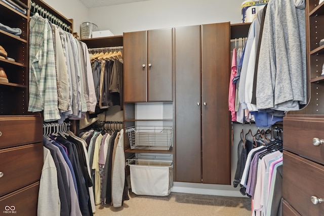 walk in closet with carpet